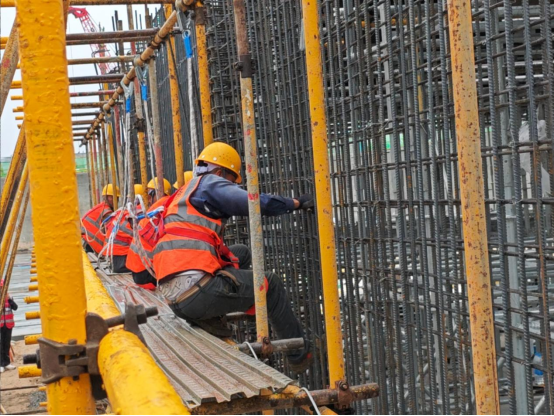 DB�羺��(�й���)�ٷ���վ