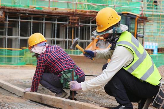 DB�羺��(�й���)�ٷ���վ