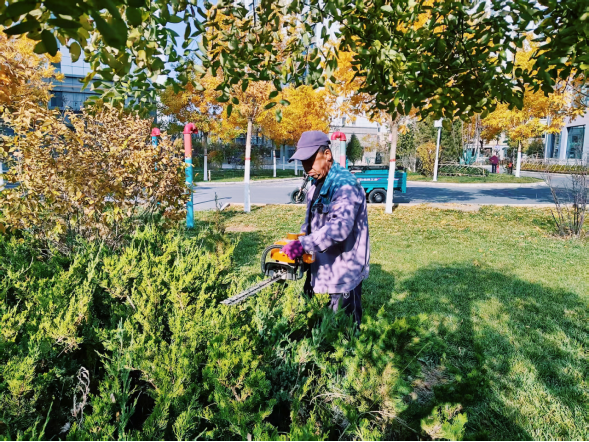 DB�羺��(�й���)�ٷ���վ