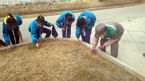 IMG_20190304_171609_副本_副本.jpg